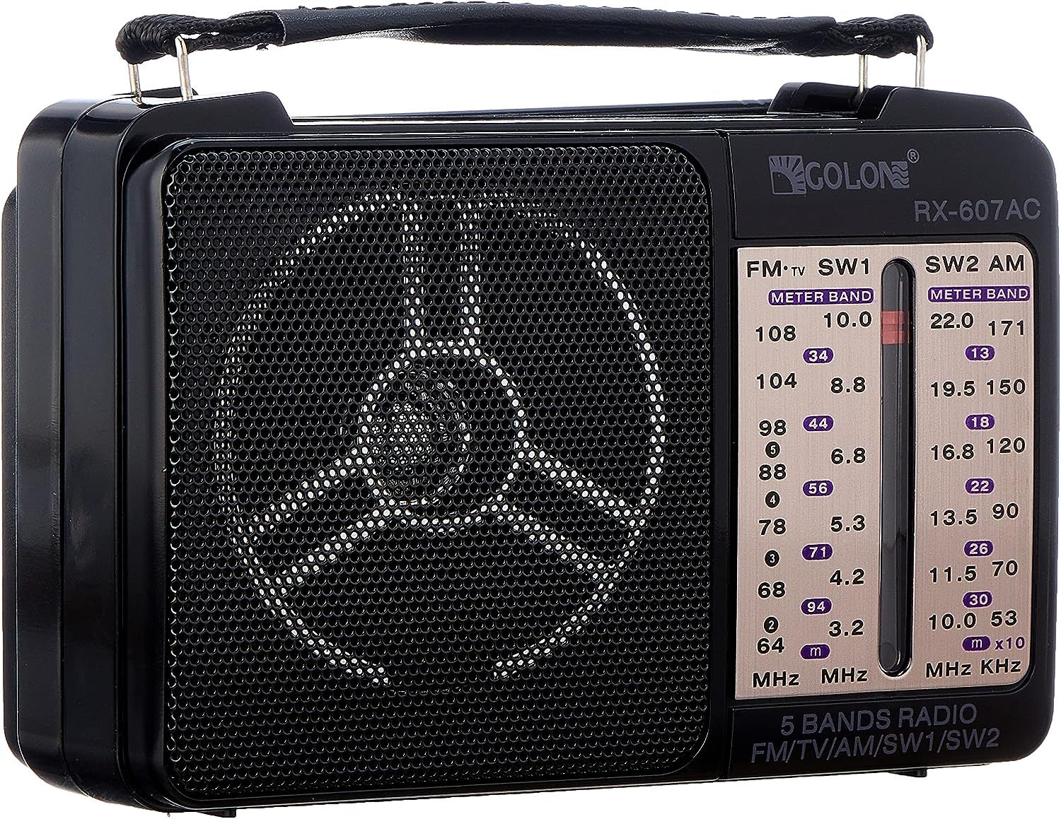 Golon Radio, 5 Bands, 110-220V, Black - RX-607AC
